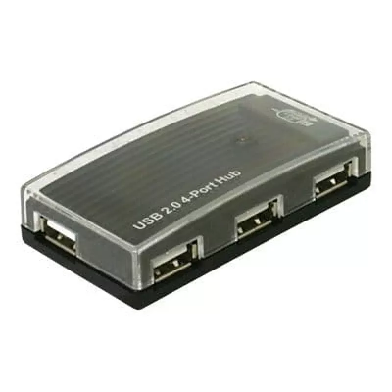 USB koncentratorius DeLOCK 4 prievadų išorinis USB 2.0 480 Mbit/s