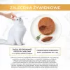 Šlapias kačių maistas Purina GOURMET Gold Adult Tuna 85 g skardinė, baltymai 10,5 %, riebalai 7 %, drėgmė 77,5 %