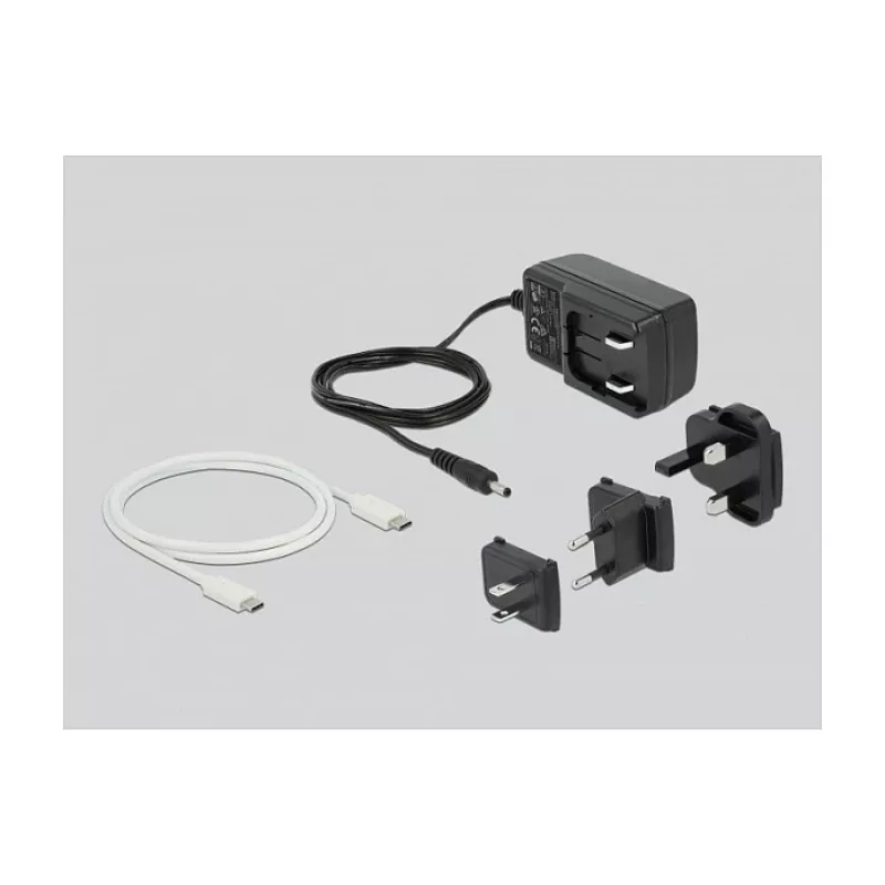 Dokų stotelė DeLOCK USB Type-C™ 3.2 2 x 2,5 colio SATA HDD/SSD