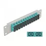 Skaidulinio optinio pataisymo skydelis DeLOCK 10 colių 12 prievadų SC Duplex Aqua 1U pilkas