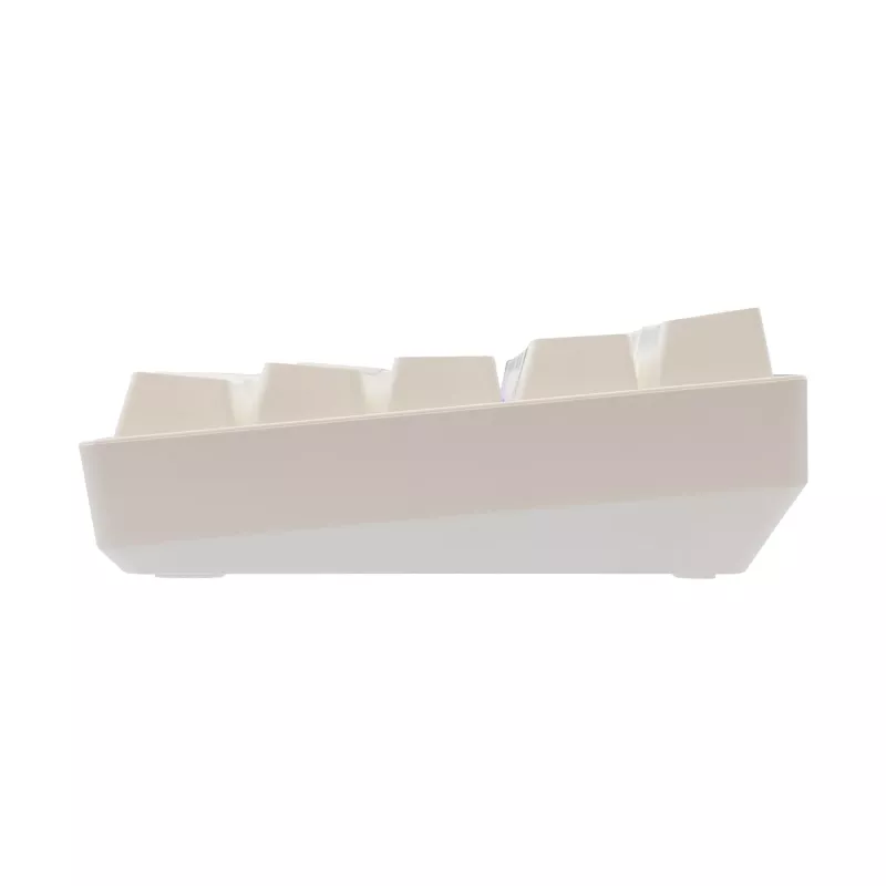 Laidinė mechaninė klaviatūra White Shark Shinobi-2 (GK-004211) — US išdėstymas, raudoni jungikliai, balta