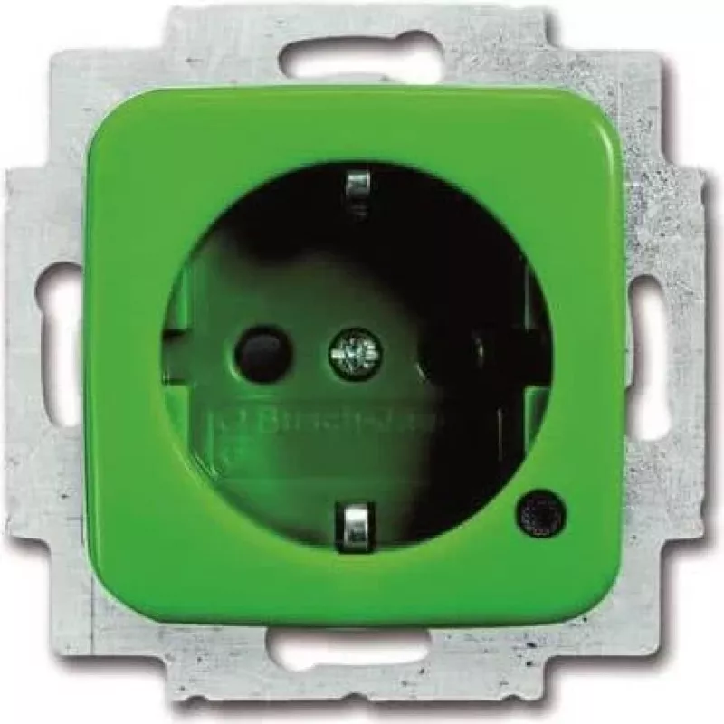 BUSCH JAEGER 2CKA002013A5466 - F tipas - 2P+E - Žalia - Maitinimas - 250 V - 16 A