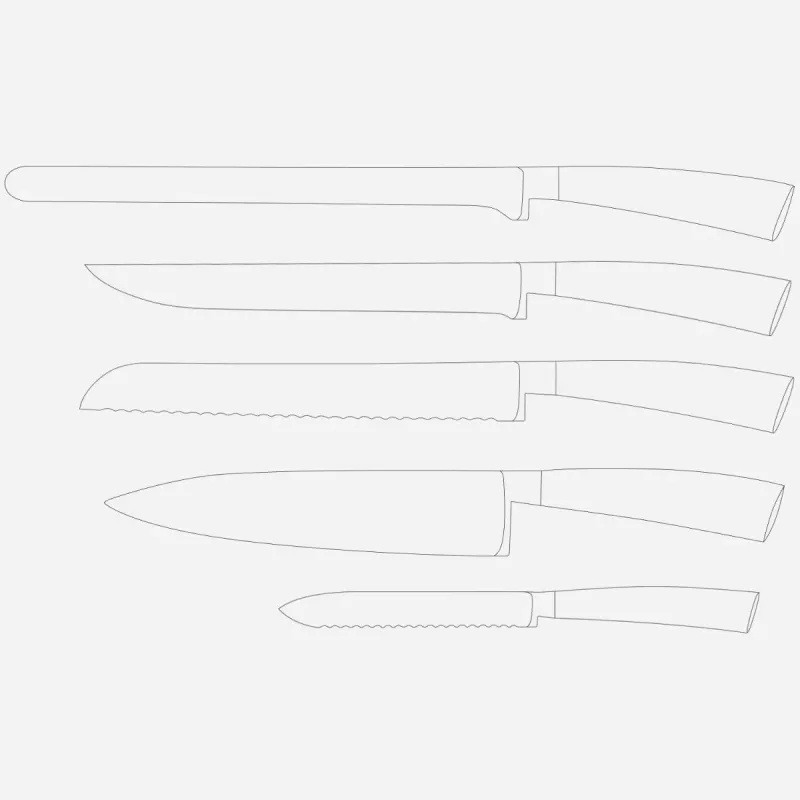 Virtuvinis peilių rinkinys Berkel ELEGANCE nerūdijantis plienas 5 vnt.