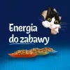 Šlapias kačių maistas Purina Nestlé FELIX Fantastic žuvies skoniai — tunas, lašiša, menkė, plekšnė, 12×85 g paketėliai
