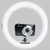 Agfa Arl11xl žiedinė LED lempa 11 + stovas + nuotolinis valdymas