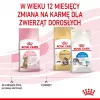 Sausas kačių maistas Royal Canin Kitten Sterilised 3,5 kg — paukštiena, 34 % baltymų, 12 % riebalų