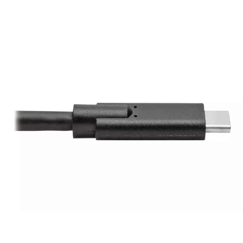 USB-C laidas Tripp Lite U420-010 10 pėdų USB 3.2 Gen 1 5 Gbps