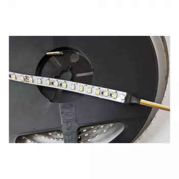 Synergy 21 LED lanksti juosta 3528 - 120 DW (CCT) DC24V 36W pro Spalva IP20