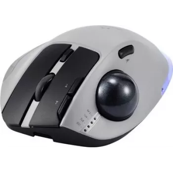 Renkforce RF-6697034 Pilka