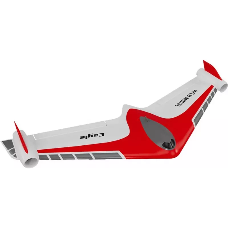 Amewi XFly Eagle Twin nuotolinio valdymo RC lėktuvo modelis elektrinis variklis (24133)