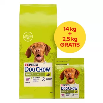PURINA Dog Chow Adult Lamb - sausas šunų ėdalas - 14 + 2,5kg