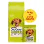 PURINA Dog Chow Adult Lamb - sausas šunų ėdalas - 14 + 2,5kg