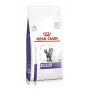 Sausas kačių ėdalas Royal Canin Dental 1,5 kg — suaugusių kačių, paukštienos skonio, 29% baltymų, dantų priežiūra