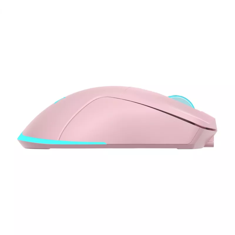 Pelė Baracuda BGM-124 Turtle Pink TURTLE-P