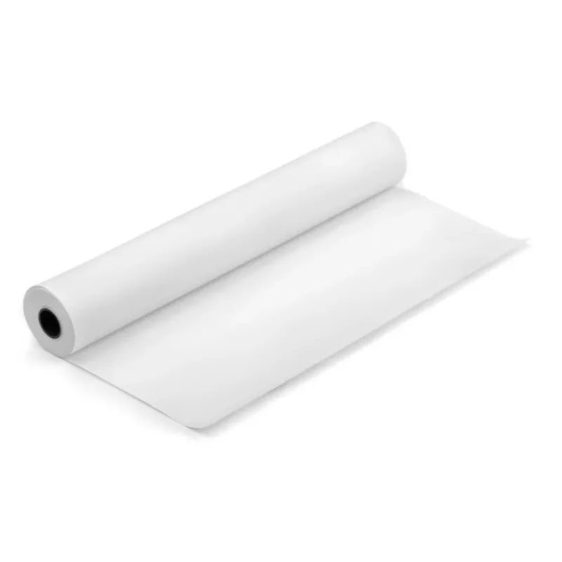 Terminis ritininis popierius 210 mm x 30 m (10 metų vaizdo išlaikymo garantija)