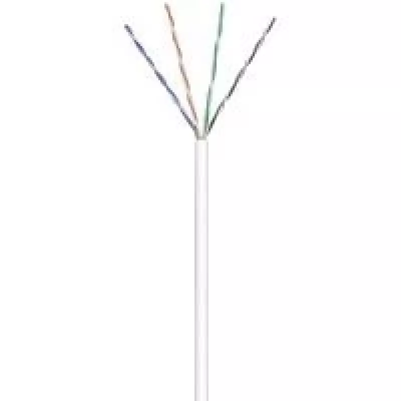 Wentronic CAT 6 U/UTP 100m - Cat6 - U/UTP (UTP) - Balta - Polivinilchloridas (PVC) - 24/7 (94964)