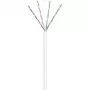 Wentronic CAT 6 U/UTP 100m - Cat6 - U/UTP (UTP) - Balta - Polivinilchloridas (PVC) - 24/7 (94964)