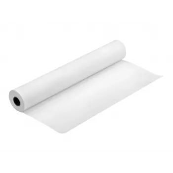 Epson Production Canvas Matte, 610mm x 12,2m, 12,2 m, 61 cm, 61 cm (24 col.), matinis, 320 g/m²