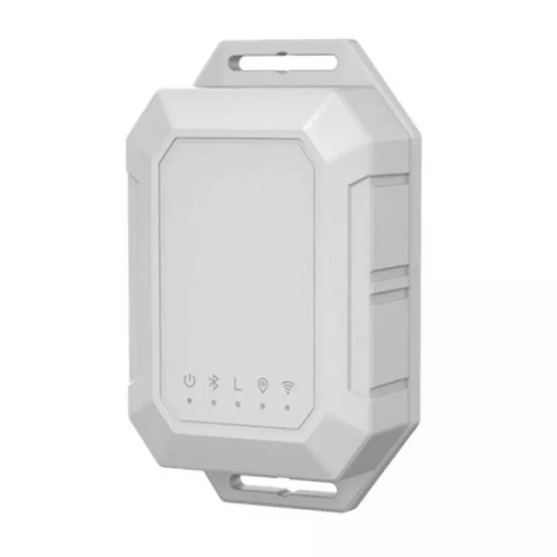 GPS sekimo įrenginys, LoRaWAN tinklas