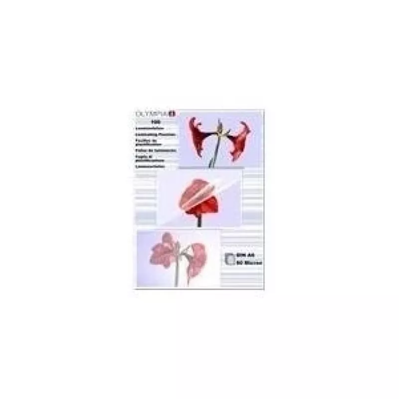 Laminavimo plėvelė Olympia 1x100 DIN A6 80 mikronų