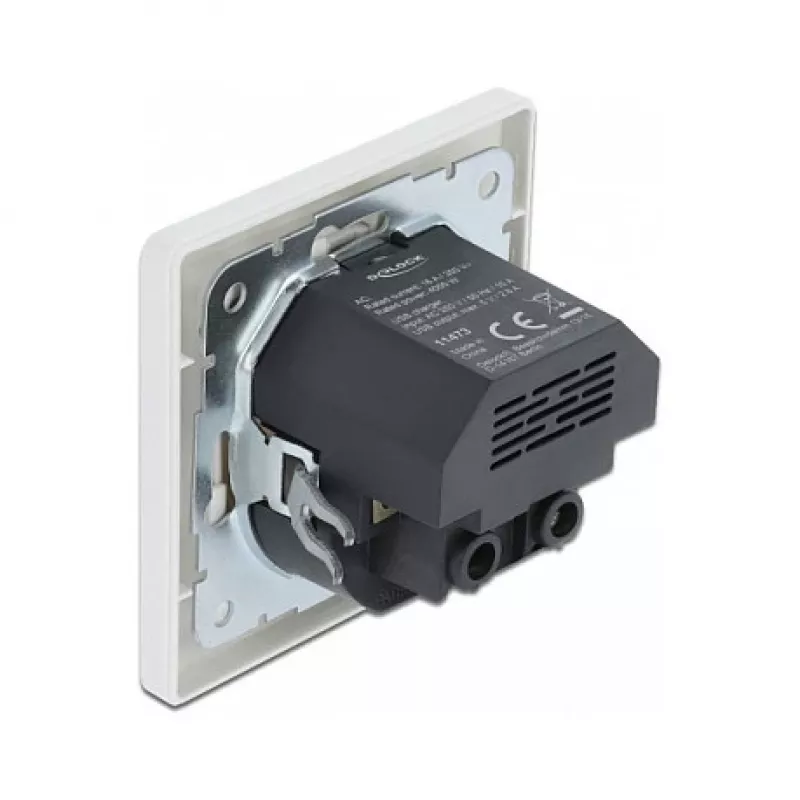 Kištukinis lizdas 2 x USB + CEE 7/3 DeLOCK 11473