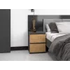 Topeshop W2 ANTRACYT/ARTISAN nightstand/Naktinis staliukas 2 stalčius(s) antracitas, ąžuolas