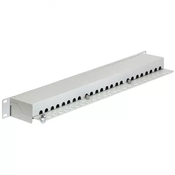 Skydelis DeLOCK 43300 1U RJ-45 pilkas