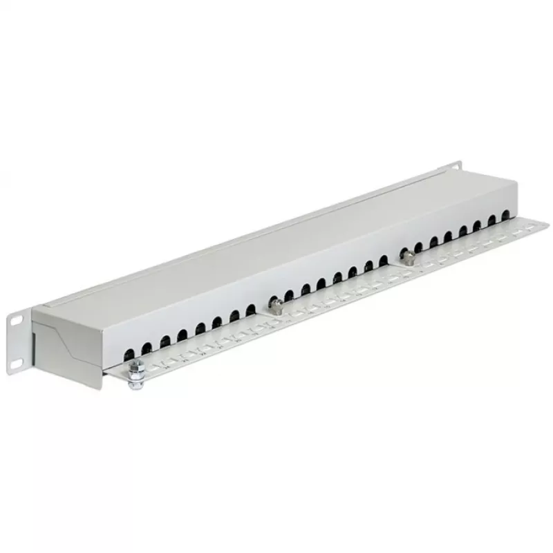 Skydelis DeLOCK 43300 1U RJ-45 pilkas