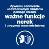 HILL'S PD K/D Kidney + Mobility Chicken - sausas kačių maistas - 3kg