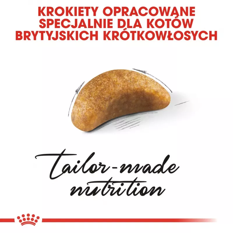 Sausas kačių maistas Royal Canin British Shorthair Kitten 2 kg – vištiena, 38% baltymų, 20% riebalų, augimo formulė