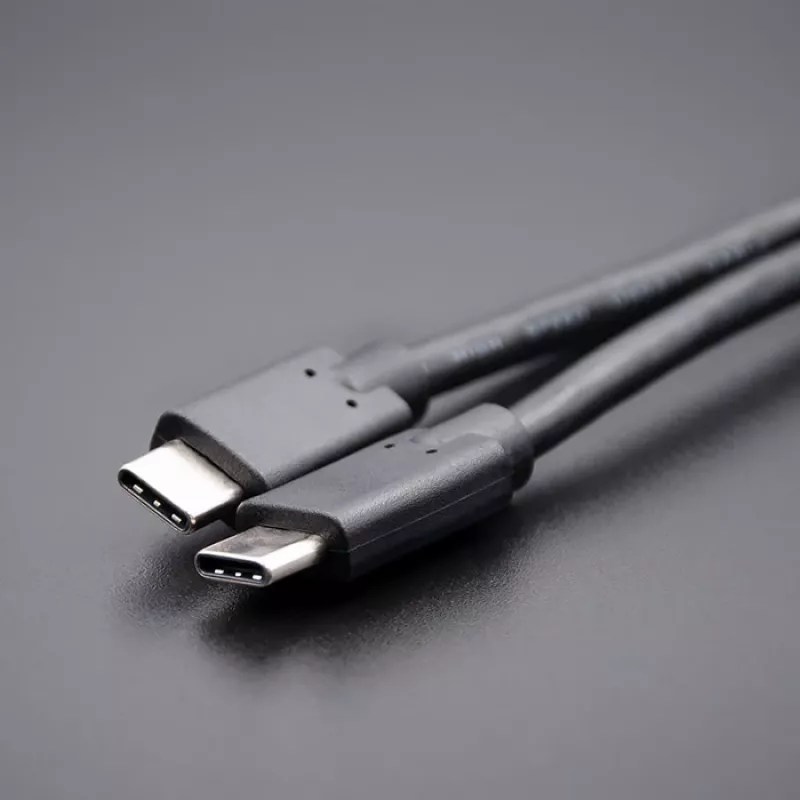 USB 3.1 tipo C patinas į USB 3.1 tipo C patinas