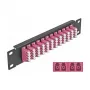 Skaidulinis optinis pataisymo skydelis DeLOCK 10 colių 12 prievadų LC Quad violetinis 1U juodas