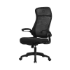 Onex Gaming Biuro kėdė | Skyflex Premium tinklelis | juodas
