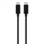 USB C į USB C laidas Belkin F2CD084bt0.8MBK 0,8 m 40 Gbit/s juodas
