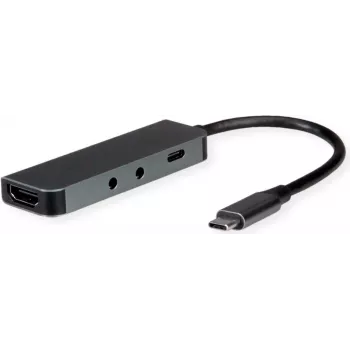 Nešiojamojo kompiuterio dokas ROLINE 12021125 USB 3.2 Gen 1 Type-C pilkas 100W