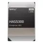 Synology HAS5300-16T vidinis kietasis diskas 3.5 16 TB SAS