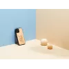 Apsauginis telefono dėklas “man and wood”, skirtas “iPhone 12 Pro Max” — katės su raudona žuvimi dizainas