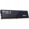 G.skill F5-6400J3239F24GX2-RS5K atminties modulis