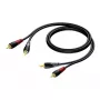Audio kabelis Procab 1KPCL084 — 2x RCA kištukas į 2x RCA kištuką, 3 m