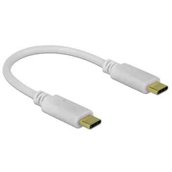 Delock - USB-C / maitinimo laidas - 24 kontaktų USB-C (V) į 24 kontaktų USB-C (V) - 5 A - 15 cm - USB maitinimo šaltinis (100 W), palaiko „Power Delivery 2.0“ - balta (85357)