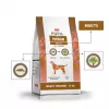 PUPIL Premium Insects - sausas šunų maistas - 12kg
