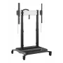 Vogels 7352080 Display Juoda