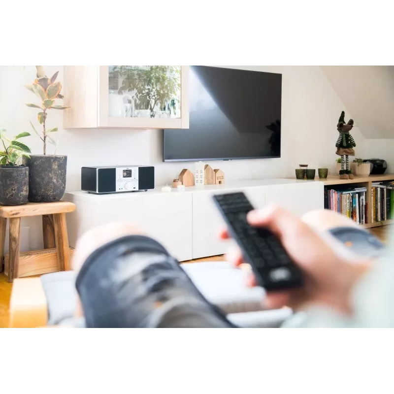 Stovo garsiakalbis JVC RD-E874B Bluetooth 20W juoda sidabrinė – ant grindų statoma garso sistema