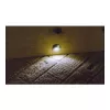 Synergy 21 S21-LED-L00024 Vidaus/lauko, tinkamas naudoti patalpose Įleidžiamasis apšvietimo taškinis šviestuvas 0,6 W Juoda - Sidabrinė Šviesos taškas