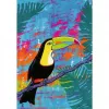Dėlionė Ravensburger Puzzle Moment — Magic Toucan, 300 dalių, suaugusiems / pažengusiems