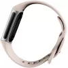 Fitbit GA05185-EU gaminys sidabrinis