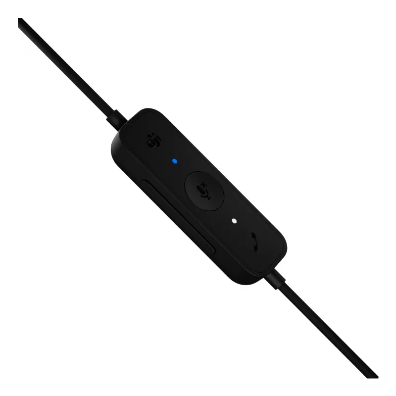 Logitech H570e - Ausinės - Ant ausų - Laidinės - USB-C - Sertifikuotos Microsoft Teams (981-001427)