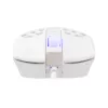 Pelė White Shark GM-5018 Caradoc RGB 7200 dpi balta