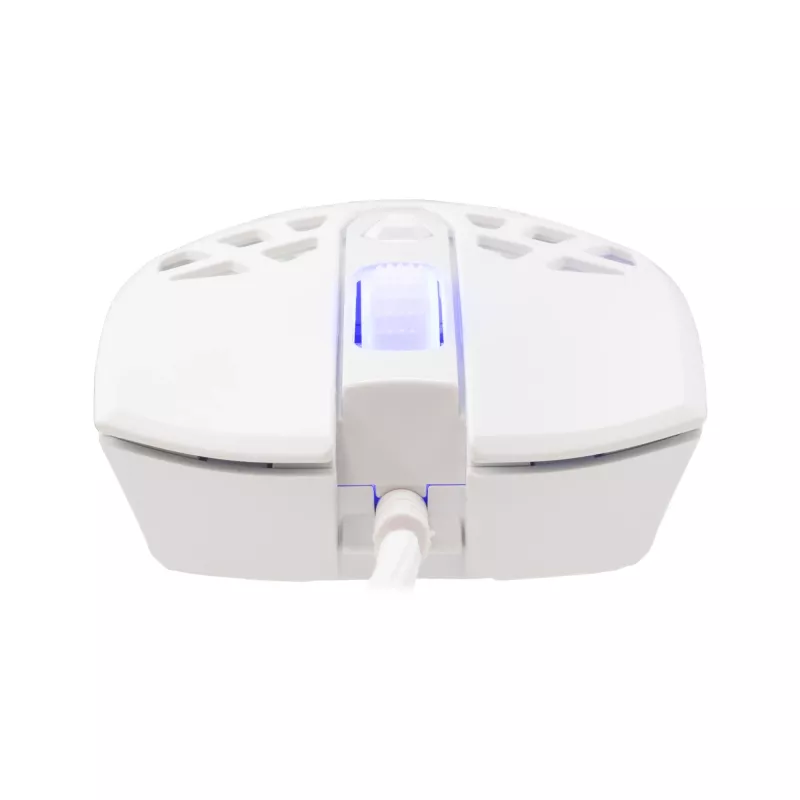 Pelė White Shark GM-5018 Caradoc RGB 7200 dpi balta