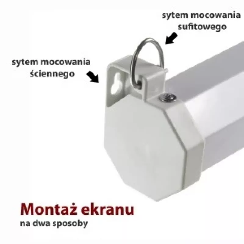 Elektrinis ekranas 16:9 119 su nuotolinio valdymo pultu 264x147cm FS-119 16 9